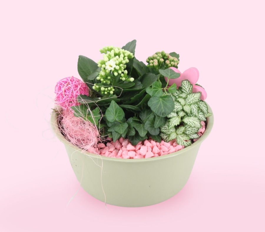 Arrangement in groene schaal met roze accenten