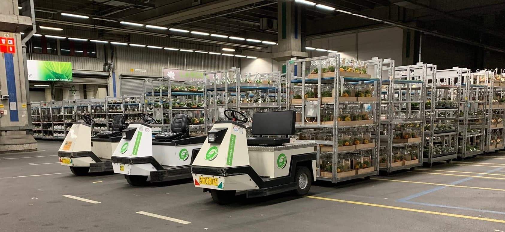 Sfeerbeeld DPC Aalsmeer