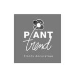 01_plant