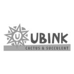 01_ubink